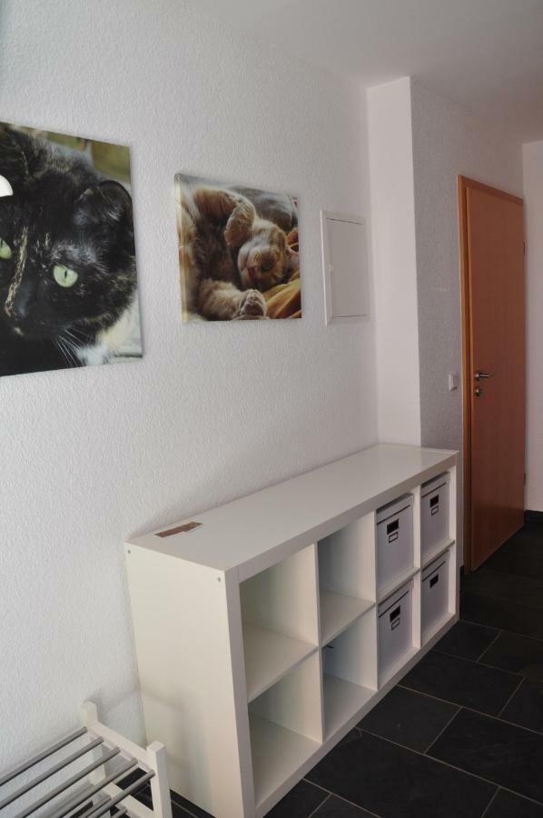 Ferienwohnung Roter Kater Am Nationalpark Eifel Bergbuir Esterno foto
