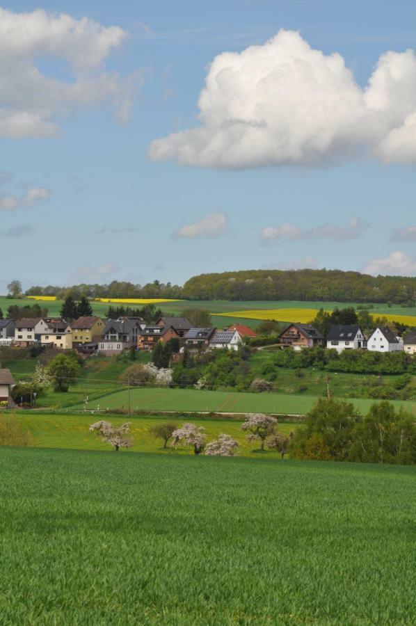 Ferienwohnung Roter Kater Am Nationalpark Eifel Bergbuir Esterno foto